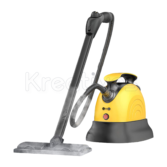 Steam Cleaner for Car Wash & Home