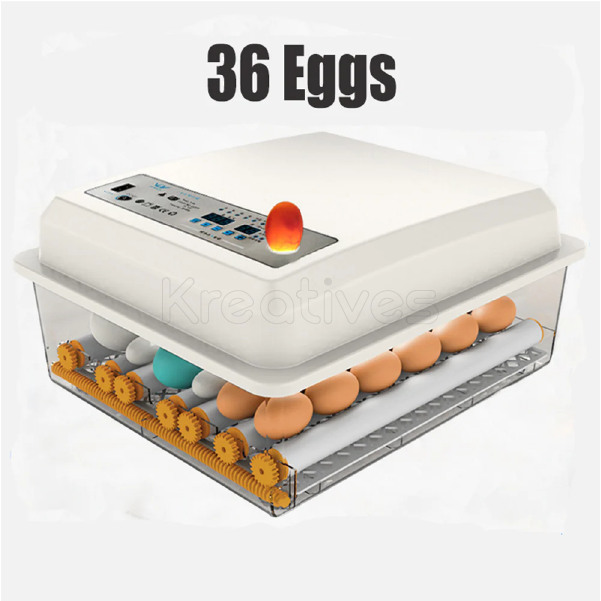36Eggs Automatic Egg Incubator AC/DC